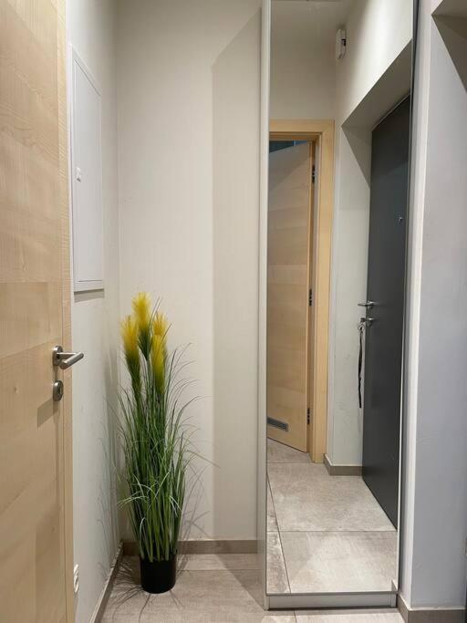Gartenwohnung Mit Terrasse Und Parkplatz Γκρατς Εξωτερικό φωτογραφία